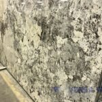 quartzite-vintage-slab-2
